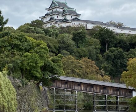 wakayama castle